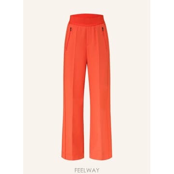 | Other Brand | ���׳� YLVI ���̵� ���� ���� 100294997418000 TP576210766���׳� YLVI ���̵� ���� ���� 100294997418000 TP5762107