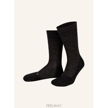 | Other Brand | FALKE Trekking �縻 TK2 �� 100006213914000 TP578081307FALKE Trekking �縻 TK2 �� 100006213914000 TP578081307