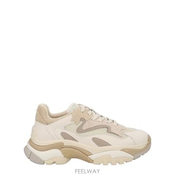 26 S/S 아쉬 스니커즈 어딕트 ADDICT01_TALC B0041960925