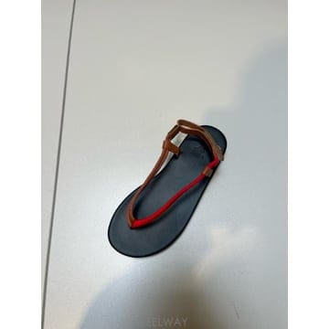 ANCIENT GREEK SANDALS 25SS ���̼�Ʈ�׸� ���� ZOI ���� 12450116700836 TP57819102225SS ���̼�Ʈ�׸� ���� ZOI ���� 12450116700836 TP57819