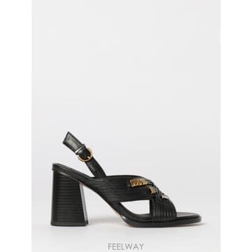 | Other Brand | PINKO ���� �� ���� SD0509P003 TP646317340PINKO ���� �� ���� SD0509P003 TP646317340