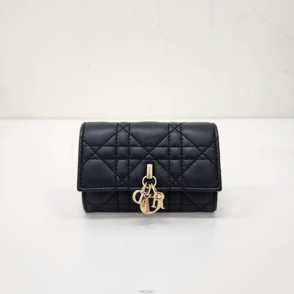 DIOR [�µ��߰���ǰ] ��� ���� ��� �۸��� ī�� ����[�µ��߰���ǰ] ��� ���� ��� �۸��� ī�� ����