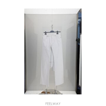 디올 진