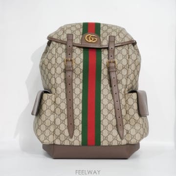구찌 오피디아 GG 백팩 598140