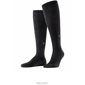 | Other Brand | 26FW BURLINGTON CARDIFF 217363000 TP57840008026FW BURLINGTON CARDIFF 217363000 TP578400080