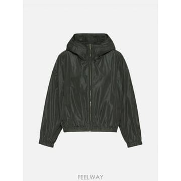 Max Mara 26FW �������� SMMELISEO ���� 2629026031006006 TP57888626926FW �������� SMMELISEO ���� 2629026031006006 TP578886