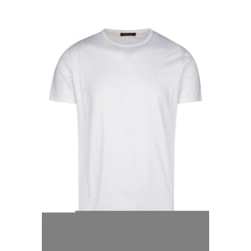 Loro Piana �η��ǾƳ� ��ư T ���� FAF61281005 TP578984320�η��ǾƳ� ��ư T ���� FAF61281005 TP578984320
