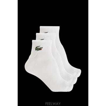 LACOSTE 26FW LACOSTE Three pack of �縻 with �ΰ� RA91850001 TP57923115026FW LACOSTE Three pack of �縻 with �ΰ� RA91850001 T