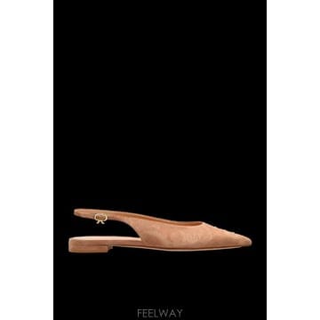 Gianvito Rossi 25FW ���Ⱥ���ξ� Robbie ���� ballerinas G9554605RICCAMPRAL TP57897125FW ���Ⱥ���ξ� Robbie ���� ballerinas G9554605RICCA