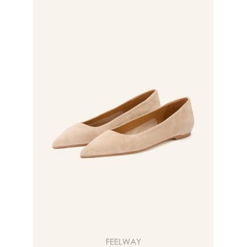 | Other Brand | Aeyde CASSIE ballerina flats 100298808912000 TP576039877Aeyde CASSIE ballerina flats 100298808912000 TP5760398
