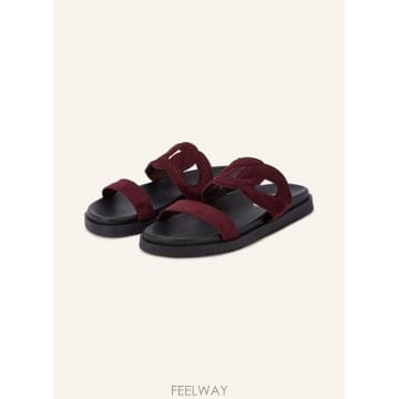 Steve Madden ��Ƽ��ŵ� MYRTLE Slides 100323529318000 TP577498324��Ƽ��ŵ� MYRTLE Slides 100323529318000 TP577498324