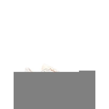 On Running 26SS �� ���� ���� ����Ŀ�� 3WF30484910DEWBLONDE TP57774767526SS �� ���� ���� ����Ŀ�� 3WF30484910DEWBLONDE TP5777