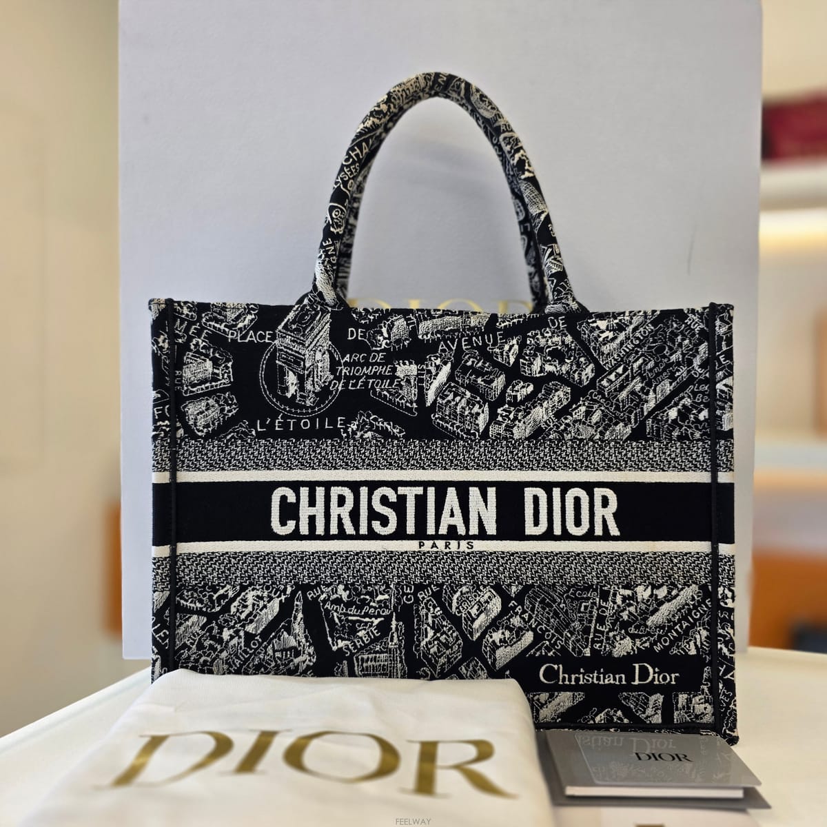 DIOR ��� ����Ʈ �̵� �ö� �� �ĸ���� ����Ʈ �̵� �ö� �� �ĸ�