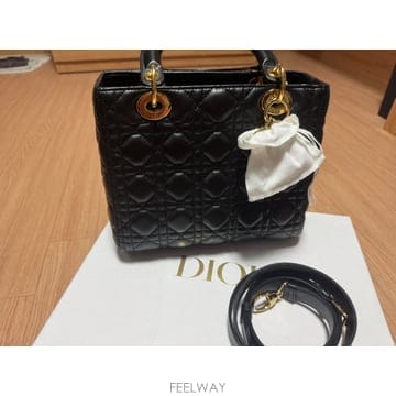 DIOR ���̵� �̵㷹�̵� �̵�