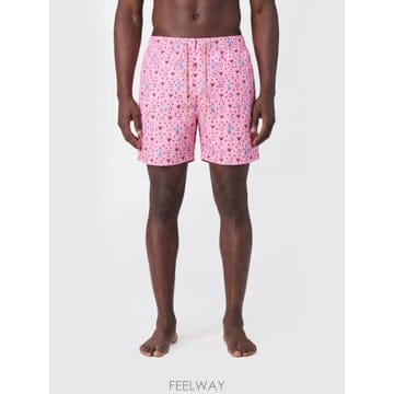 | Other Brand | MC2 SAINT BARTH ���� �������� LIG0003 TP646344496MC2 SAINT BARTH ���� �������� LIG0003 TP646344496