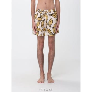 | Other Brand | NOM ���� �������� 04NICOLAPRINTED TP646366062NOM ���� �������� 04NICOLAPRINTED TP646366062