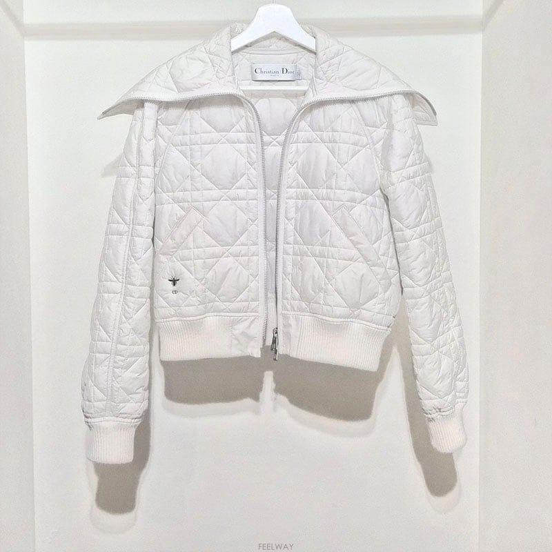 DIOR ũ������ ��� ��ũ�α�� ���̳� ���� L187286ũ������ ��� ��ũ�α�� ���̳� ���� L187286