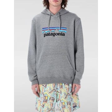 Patagonia 26FW ��Ÿ���Ͼ� P 6 �ΰ� �������� �ĵ� Ƽ���� 39622 GLH GREY26FW ��Ÿ���Ͼ� P 6 �ΰ� �������� �ĵ� Ƽ���� 39622 GL