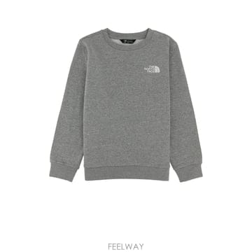 [X45]더 노스페이스 NF0A8F9W CQO1 남성 맨투맨 스웨트셔츠 후드 TEEN EVO BOX NSE