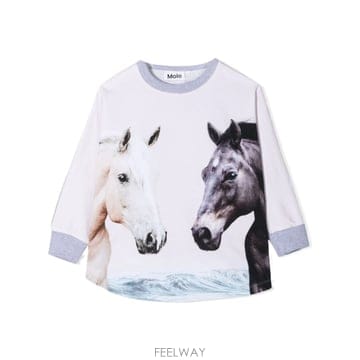 | Other Brand | 23FW MOLO ���� ��Ʈ ������ 2S21J2217399 TP57718102523FW MOLO ���� ��Ʈ ������ 2S21J2217399 TP577181025