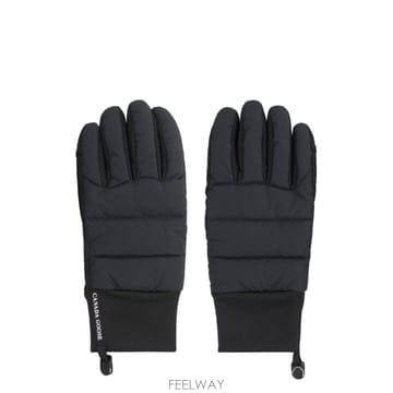 Canada Goose 25FW ĳ���ٱ��� Padded gloves 5488M61 TP57924733925FW ĳ���ٱ��� Padded gloves 5488M61 TP579247339