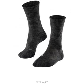 | Other Brand | 26SS FALKE TK2 �� 163953150 TP57841025526SS FALKE TK2 �� 163953150 TP578410255