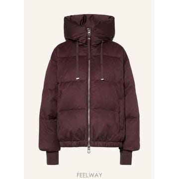 | Other Brand | DUNO �ٿ� ���� HEKA 100293229318001 TP581194482DUNO �ٿ� ���� HEKA 100293229318001 TP581194482