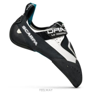 | Other Brand | SCARPA SCARPETTE UOMO DRAGO LV 70029000BIANCONERO TP57053829SCARPA SCARPETTE UOMO DRAGO LV 70029000BIANCONERO TP57
