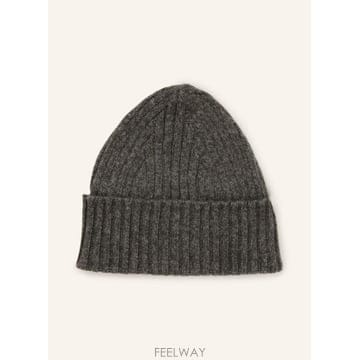 | Other Brand | FEDELI ���� 100312556416000 TP581195940FEDELI ���� 100312556416000 TP581195940