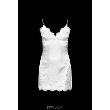 | Other Brand | 26FW OSEREE �巹�� with ���̽� trim BLDF268SATINLACEPEARL TP57524526FW OSEREE �巹�� with ���̽� trim BLDF268SATINLACEPE