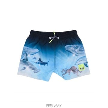 | Other Brand | 26SS MOLO Niko Boardies 8S26P4025213 TP58080955426SS MOLO Niko Boardies 8S26P4025213 TP580809554