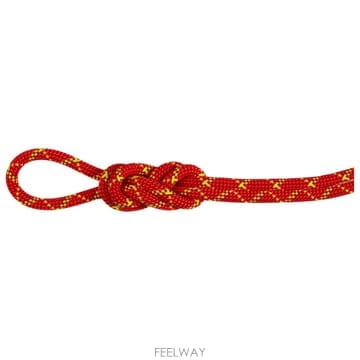 | Other Brand | Mammut Mountain climbing �� rock climbing 3080385FIREHALO TP5Mammut Mountain climbing �� rock climbing 3080385FIREH