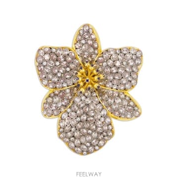 | Other Brand | ���Ϲ�� Begum Khan �����ڴϾ� ��Ű�� �����Ϲ�� Begum Khan �����ڴϾ� ��Ű�� ��
