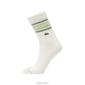 26 FW 라코스테 로고 자수 스트라이프 양말 RA19221WV TP455583233