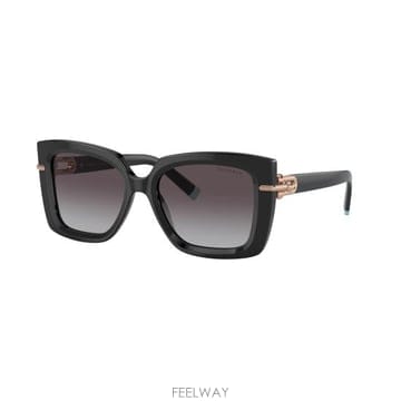 26SS 티파니앤코 선글라스 0TF4199 BLACK