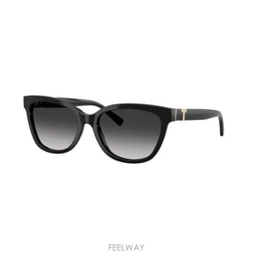 26SS 티파니앤코 선글라스 0TF4237B BLACK