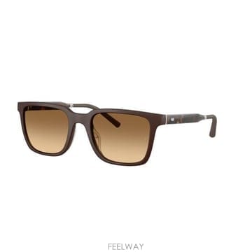 26SS 올리버피플스 선글라스 0OV5553SU BROWN