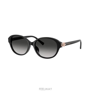 26SS 티파니앤코 선글라스 0TF4263D BLACK