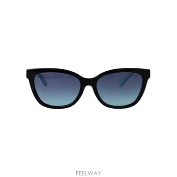 26SS 티파니앤코 선글라스 0TF4237B 80019S black