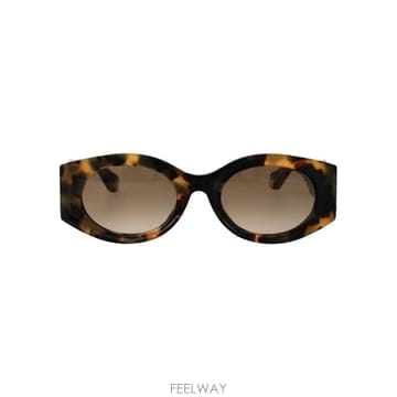 25FW 로베르토 카발리 선글라스 SRC064 0AGG havana