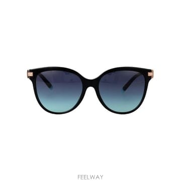 26SS 티파니앤코 선글라스 0TF4193B 80019S black