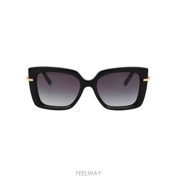 26SS 티파니앤코 선글라스 0TF4199 80013C black