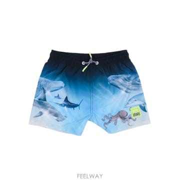 | Other Brand | 26SS MOLO Niko Boardies 8S26P4025213 TP57619933026SS MOLO Niko Boardies 8S26P4025213 TP576199330