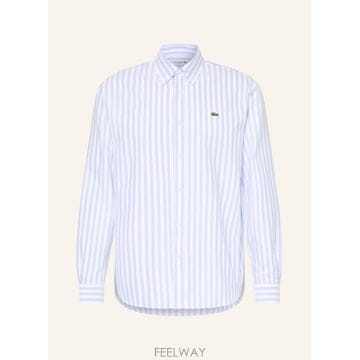LACOSTE LACOSTE Regular �� Oxford ���� 100312502717000 TP581463089LACOSTE Regular �� Oxford ���� 100312502717000 TP58146