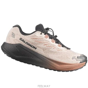 SALOMON Salomon SCARPE DONNA AERO BLAZE 4 GRVL GTX L45403900ROSABEIGSalomon SCARPE DONNA AERO BLAZE 4 GRVL GTX L45403900RO