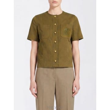 Max Mara �������� ���� ž 2621046071600 TP646689898�������� ���� ž 2621046071600 TP646689898