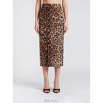 Dolce&Gabbana ��ü�ذ��ٳ� ���� ��ĿƮ F4B6UTFSRKY TP646745725��ü�ذ��ٳ� ���� ��ĿƮ F4B6UTFSRKY TP646745725