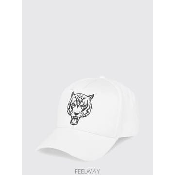 | Other Brand | Plein Sport ���� ���� AADAUAC0609STE003N TP646708260Plein Sport ���� ���� AADAUAC0609STE003N TP646708260