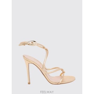 Gianvito Rossi ���Ⱥ��� �ν� ���� �� ���� G3253315RICNIG TP646727572���Ⱥ��� �ν� ���� �� ���� G3253315RICNIG TP646727572