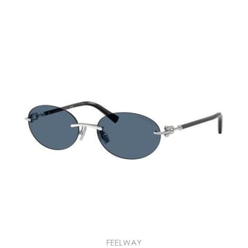 26SS 티파니앤코 선글라스 0TF3104D SILVER